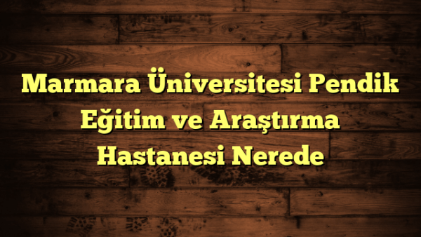 Marmara Üniversitesi Pendik Eğitim ve Araştırma Hastanesi Nerede